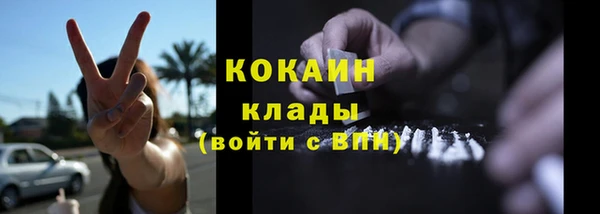 МДПВ Долгопрудный