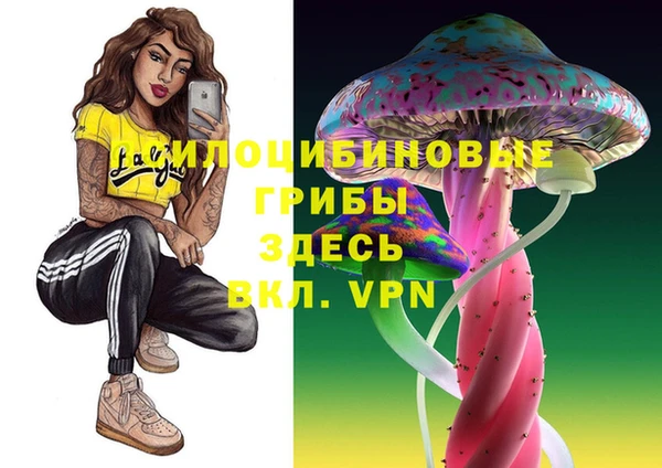 молекула духа Майский