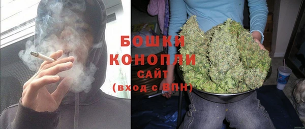 молекула духа Майский