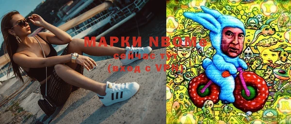 стафф Магадан